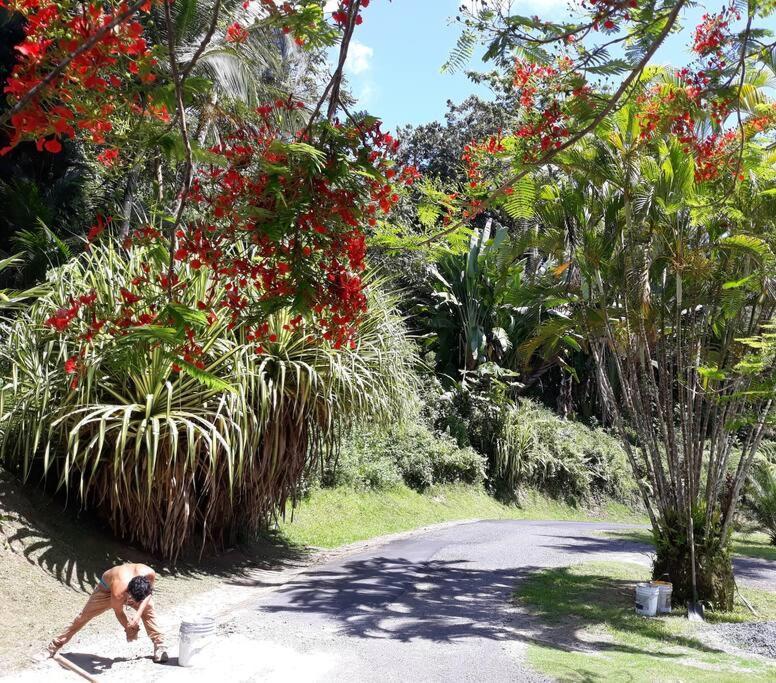 Apartmán Swim & Paint Art Retreat Las Piedras Exteriér fotografie