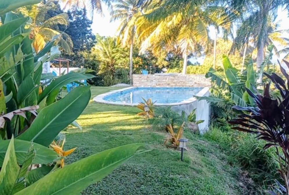 Apartmán Swim & Paint Art Retreat Las Piedras Exteriér fotografie